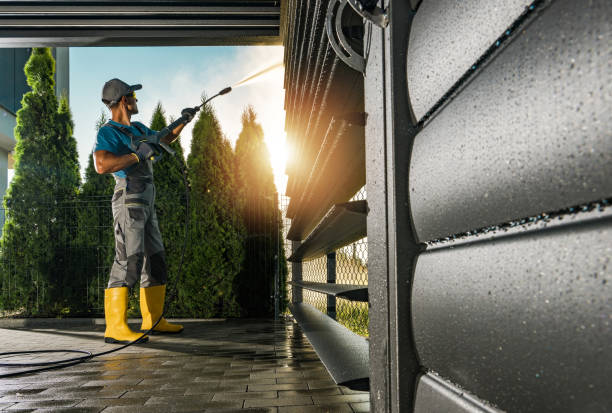 Best Soft Washing for Delicate Surfaces in Mmaduke, AR